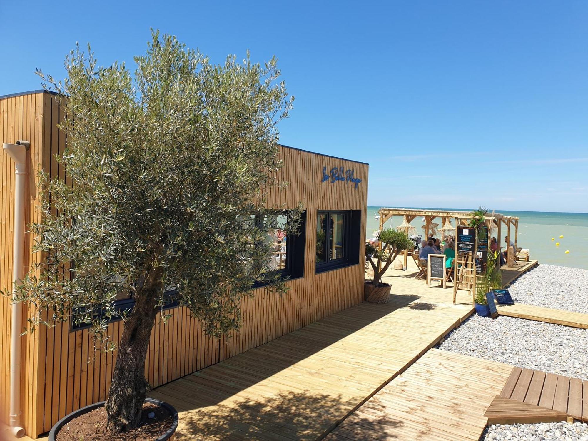 "Le Juguili" 46M2 En Front De Mer - 4 Personnes - Animaux Ok - Entierement Renove - Haut De Gamme - Wifi Mers-les-Bains Exterior photo
